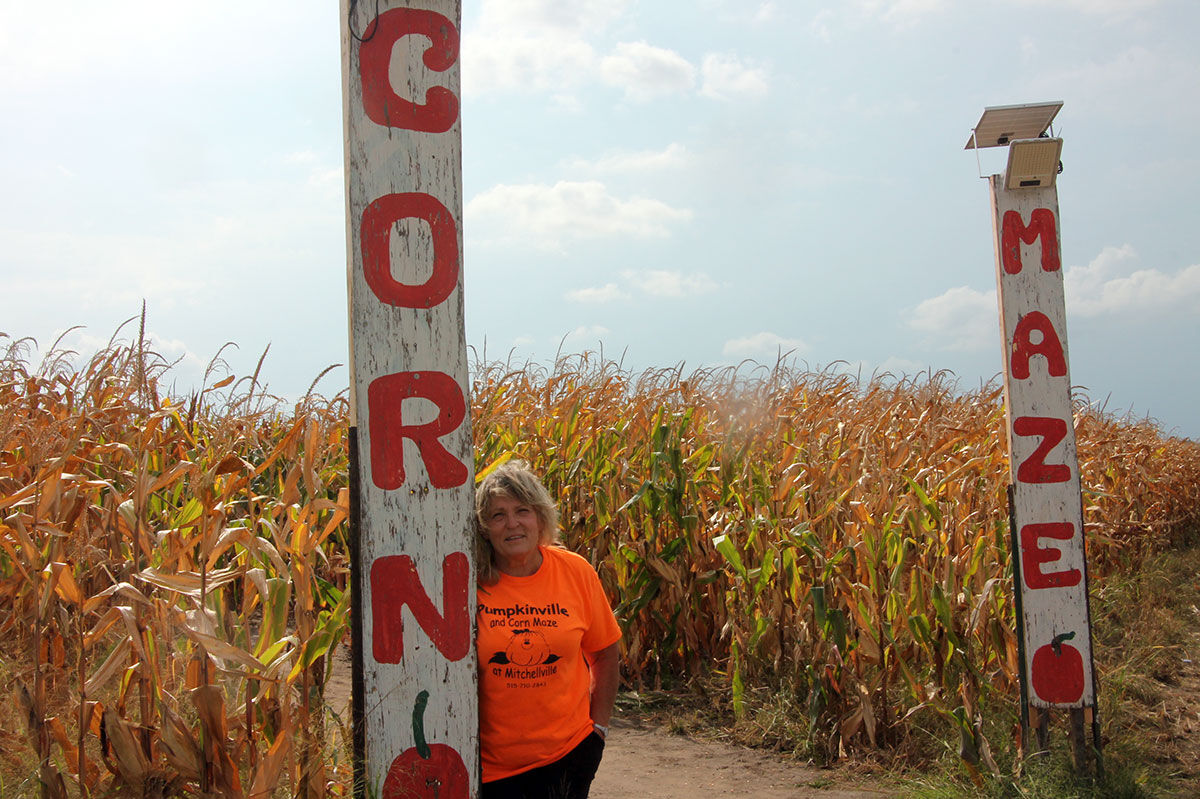 Corn maze